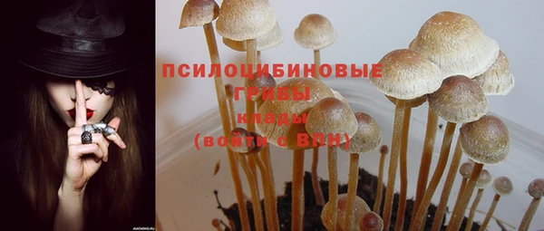 гидропоника Богородск