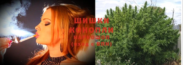 хмурый Богданович